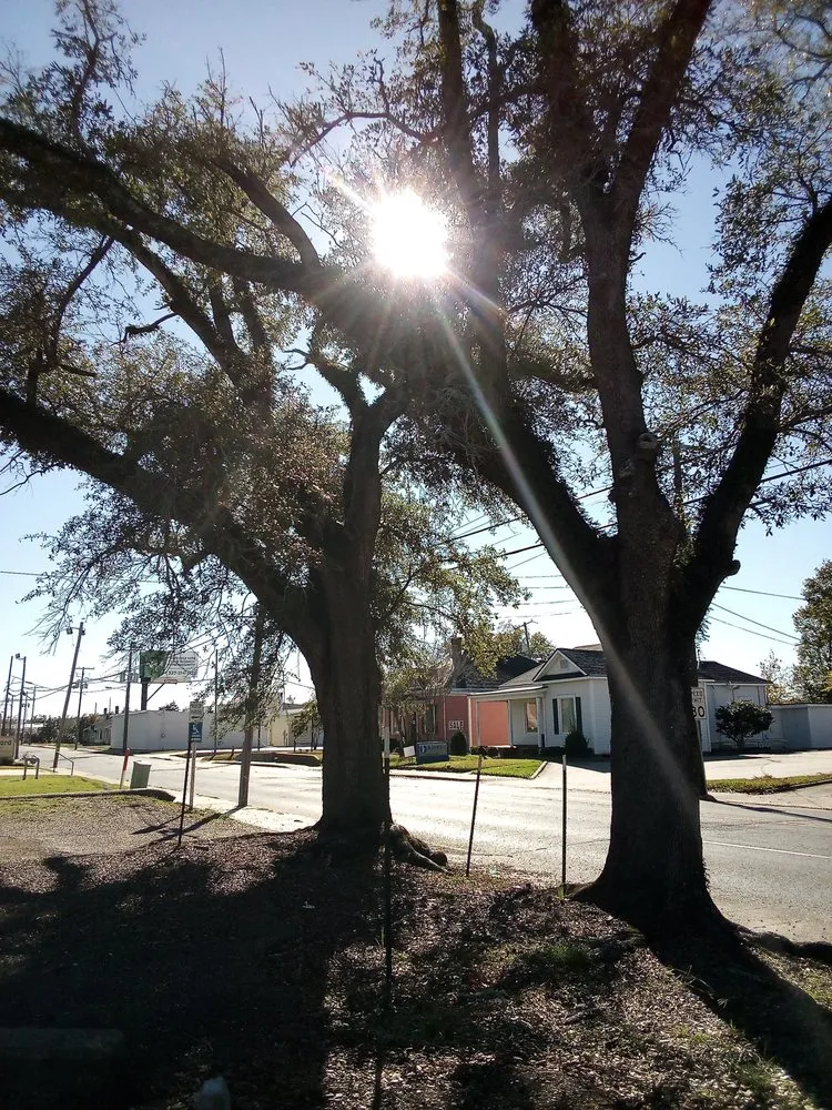 Local landscape design near you in Lake Charles, LA by Russo Scrapman Debris Removal