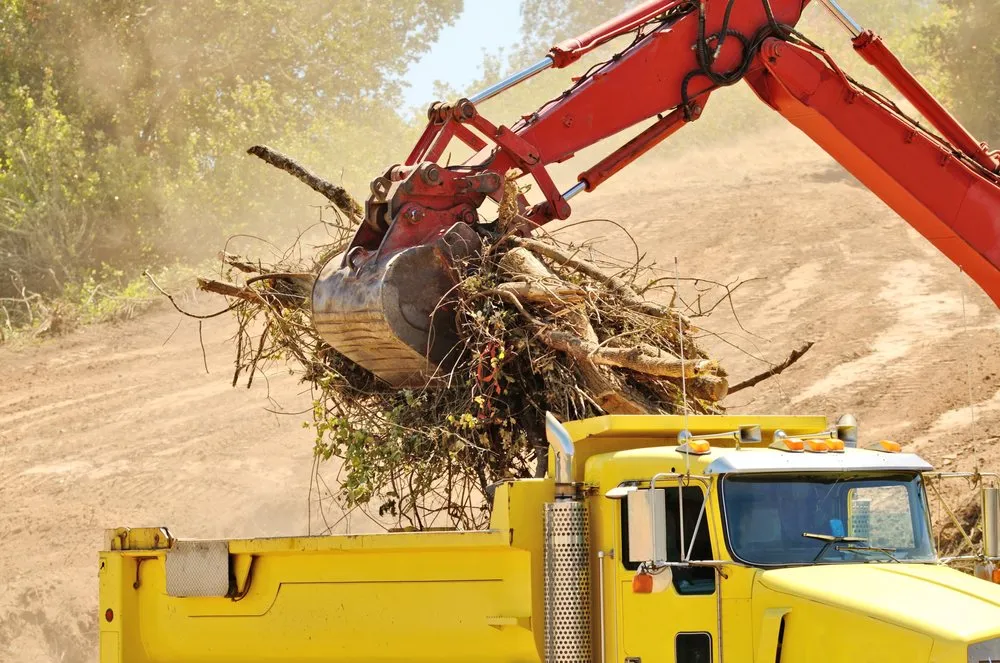 Trusted landscape design in Rotonda West, FL - Russ's Land Clearing And Landscaping