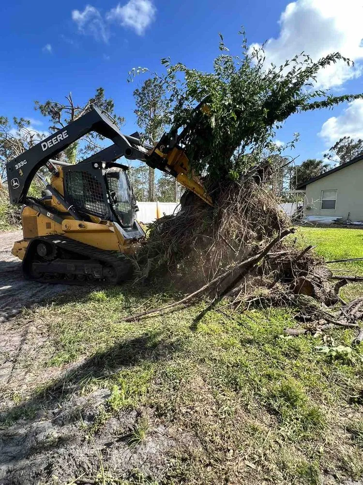 Local landscape installation for year-round maintenance in Rotonda West, FL by Russ's Land Clearing And Landscaping