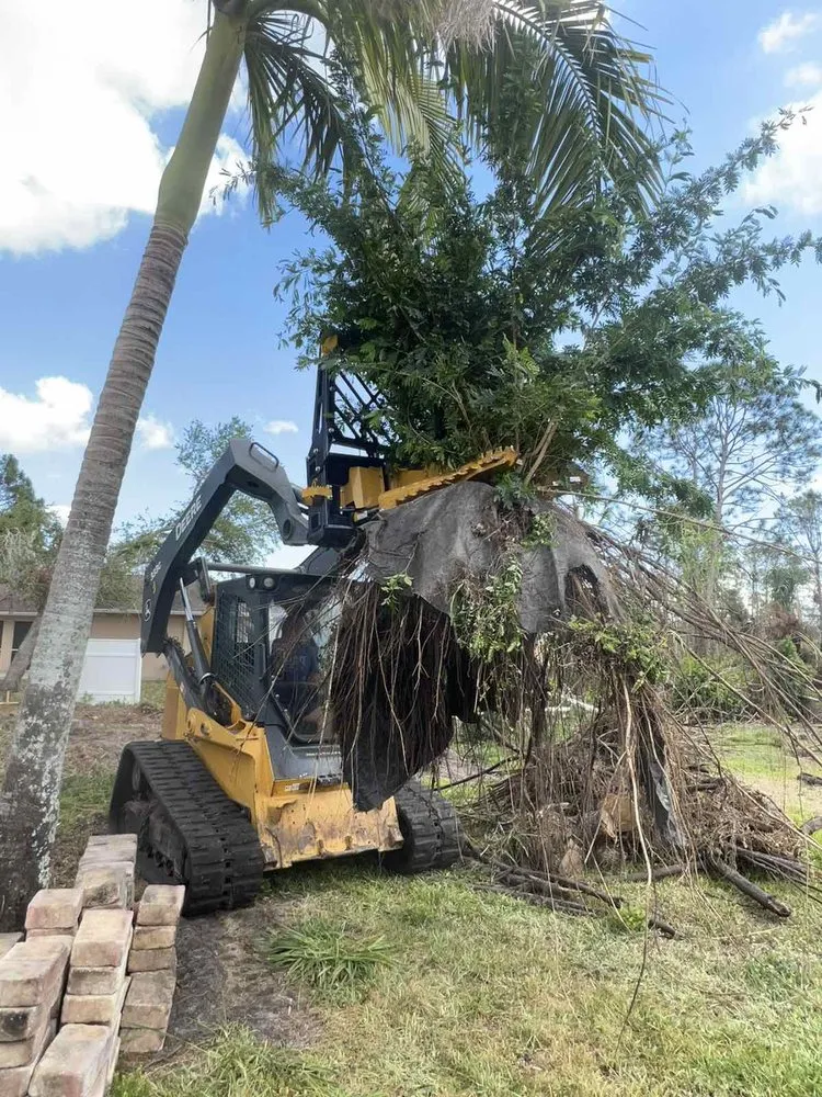 Custom yard cleanup service in Rotonda West, FL by Russ's Land Clearing And Landscaping