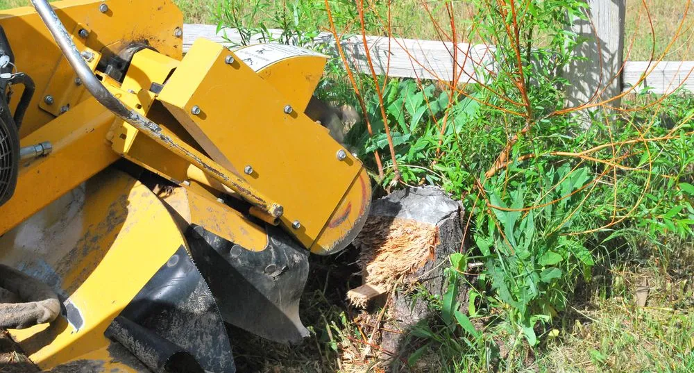 Professional outdoor landscaping experts serving Rotonda West, FL - Russ's Land Clearing And Landscaping