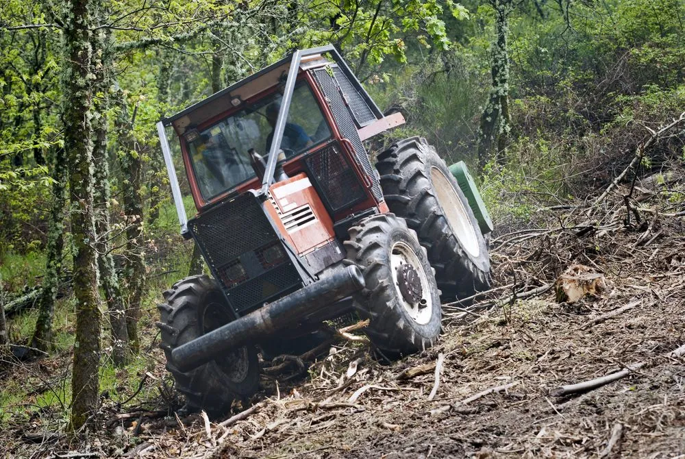 Reliable lawn care service experts serving Rotonda West, FL - Russ's Land Clearing And Landscaping
