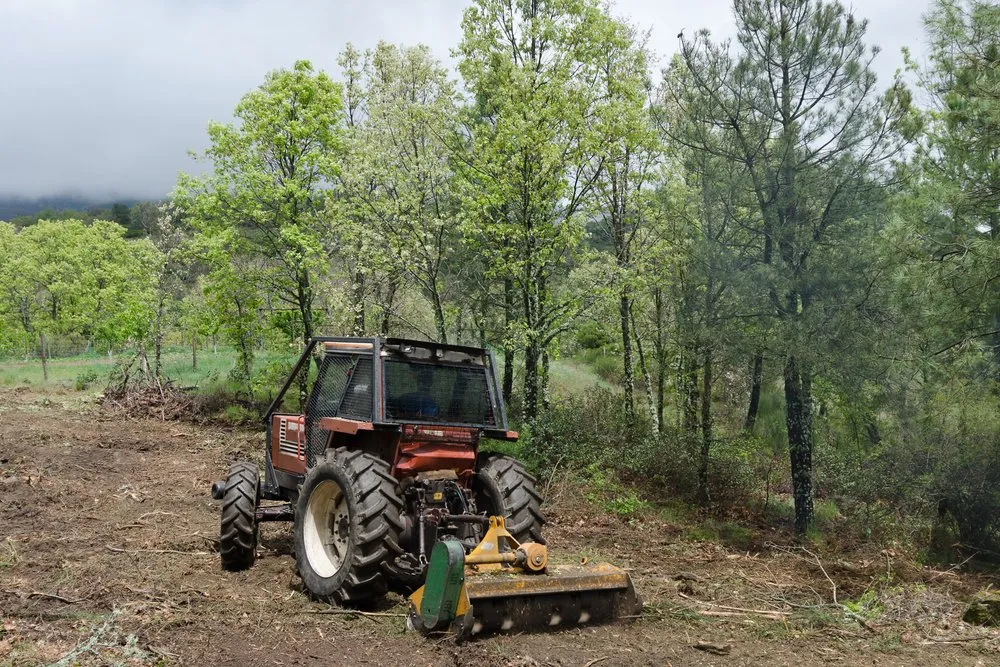 Trusted residential landscaping in Rotonda West, FL by Russ's Land Clearing And Landscaping
