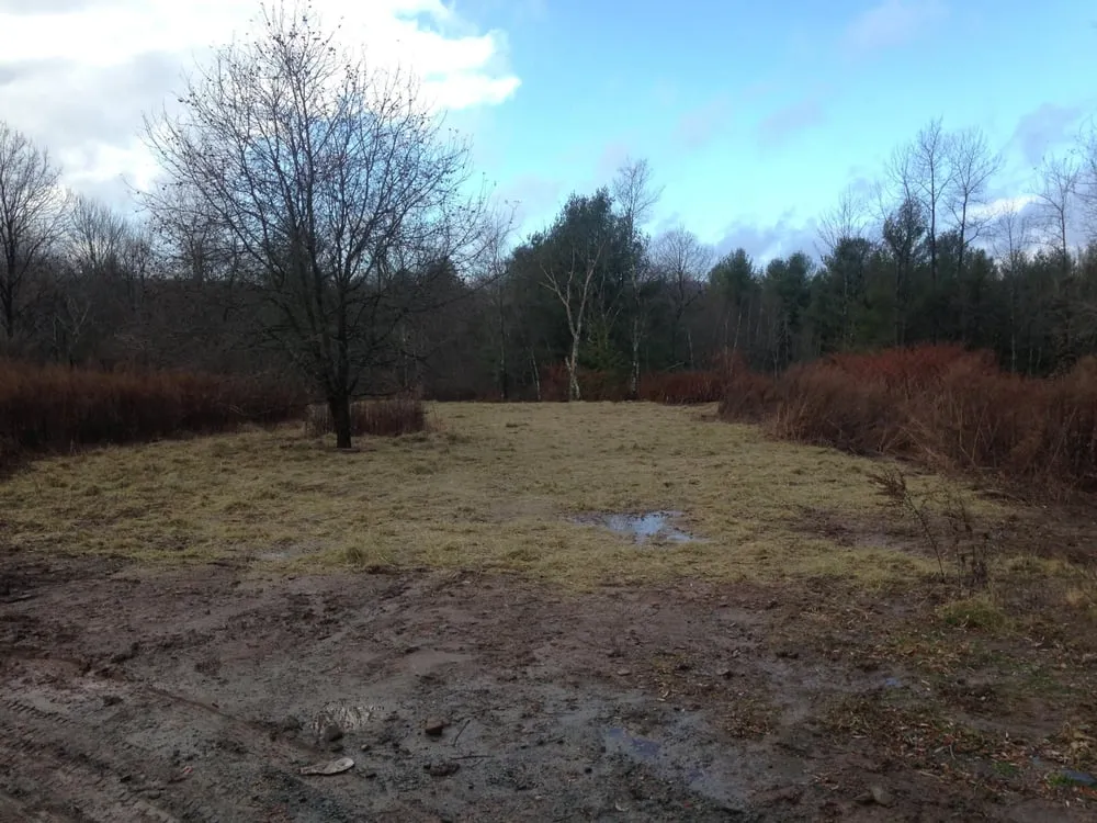 Custom landscaping services for beautiful yards in Liberty, NY by Russ's Landscape