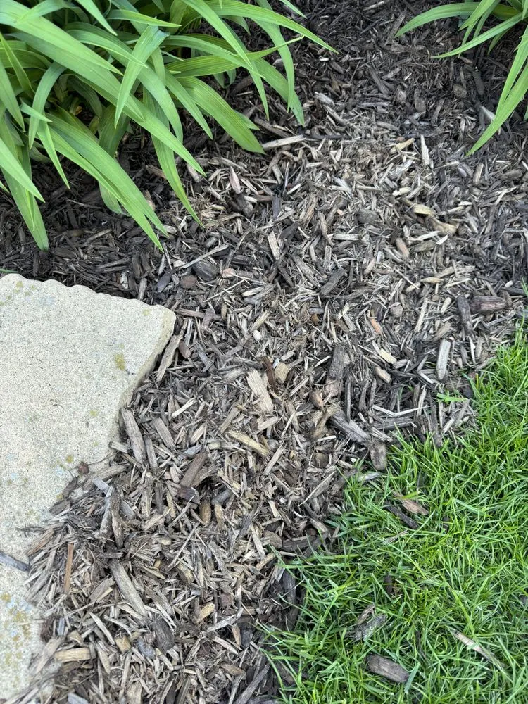Expert lawn care service in Waukesha, WI - Russ's Mulch & Top Soil
