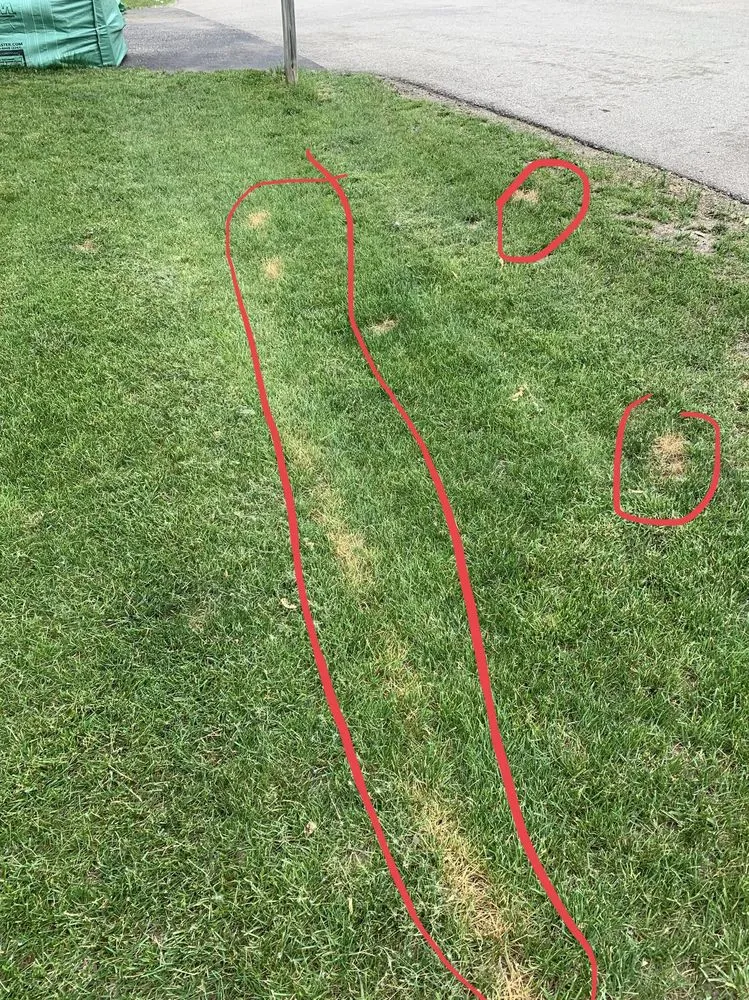 Professional outdoor landscaping experts serving Waukesha, WI - Russ's Mulch & Top Soil