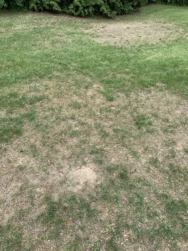 Local garden landscaping in Waukesha, WI - Russ's Mulch & Top Soil