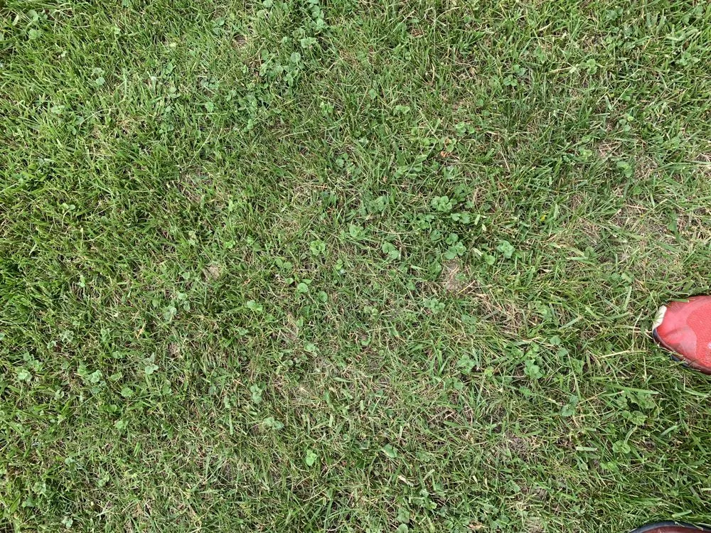 Affordable outdoor landscaping in Waukesha, WI by Russ's Mulch & Top Soil