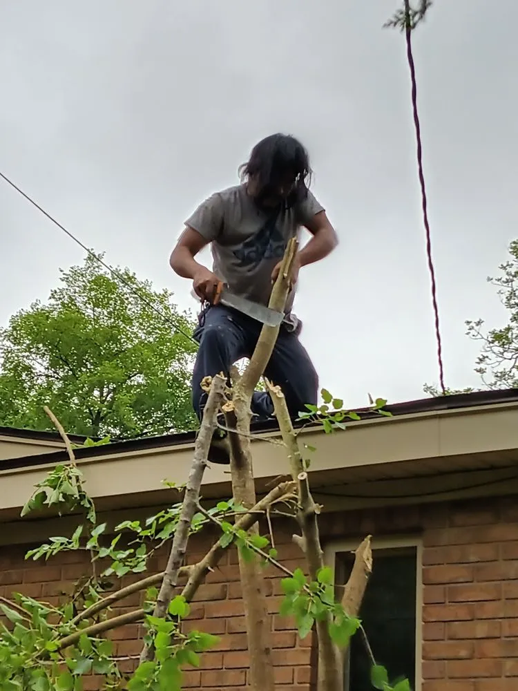 Top-rated lawn care service for outdoor upgrades across Albany, GA - Rustic Landscape & Remodelation