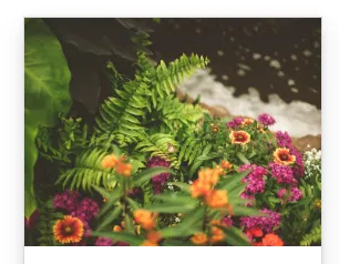 Reliable lawn care service in Albany, GA by Rustic Landscape & Remodelation