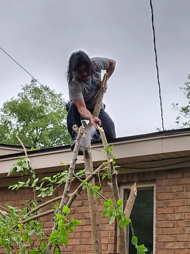 Trusted outdoor landscaping in Albany, GA by Rustic Landscape & Remodelation