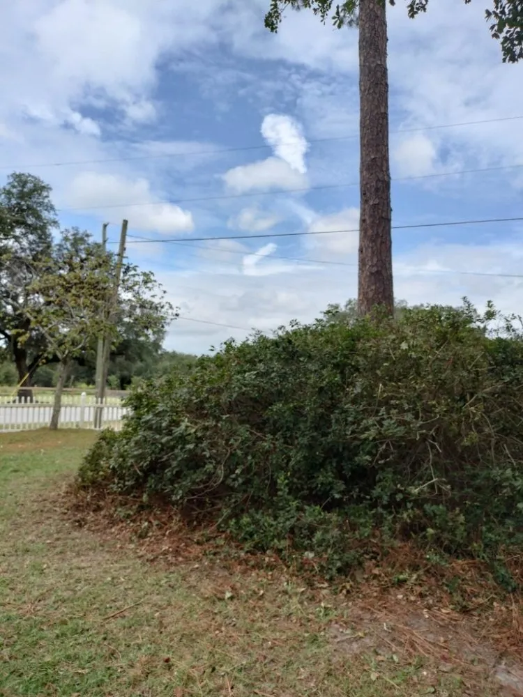 Local garden landscaping for residential properties across Albany, GA - Rustic Landscape & Remodelation