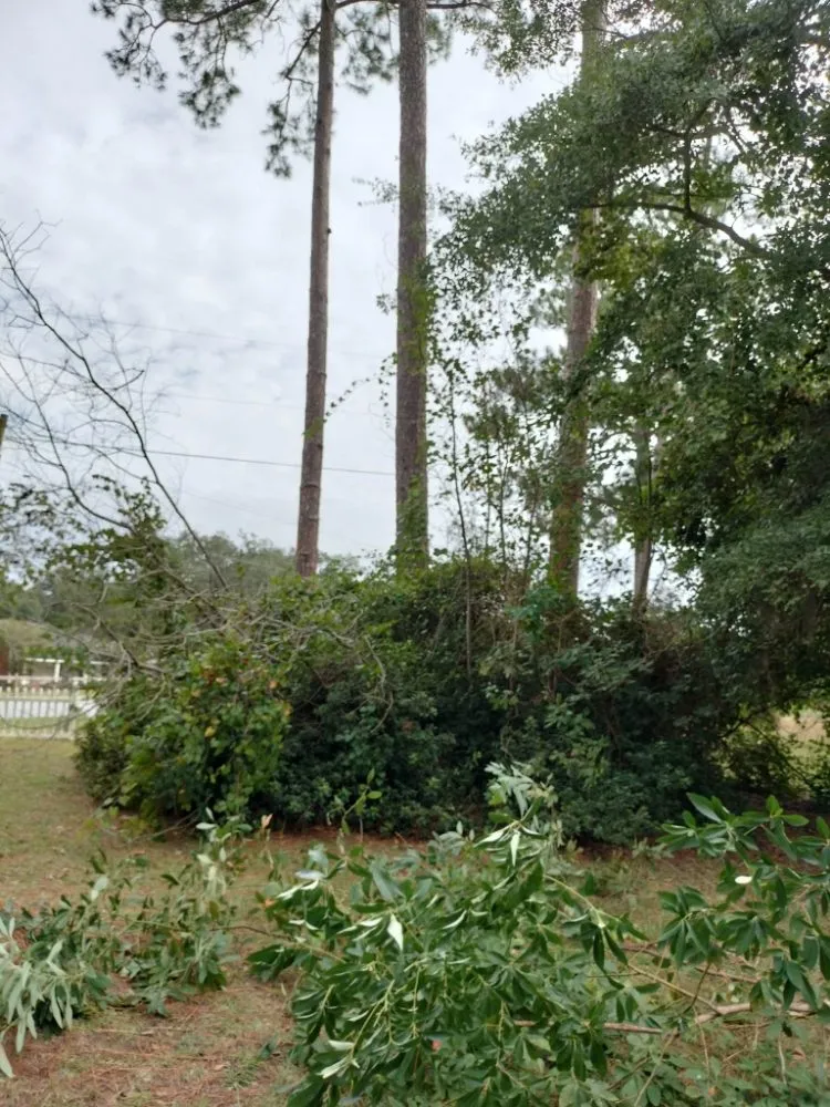 Top-rated lawn mowing service experts serving Albany, GA - Rustic Landscape & Remodelation