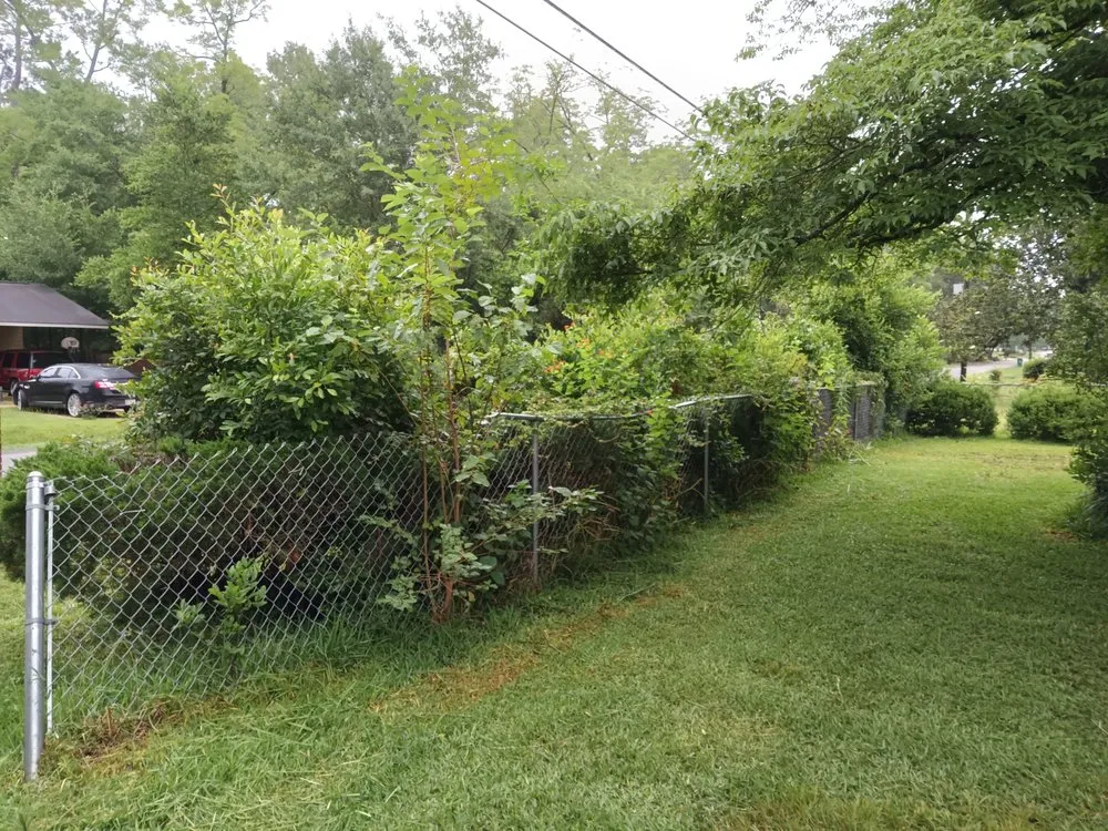 Custom garden landscaping experts serving Albany, GA - Rustic Landscape & Remodelation