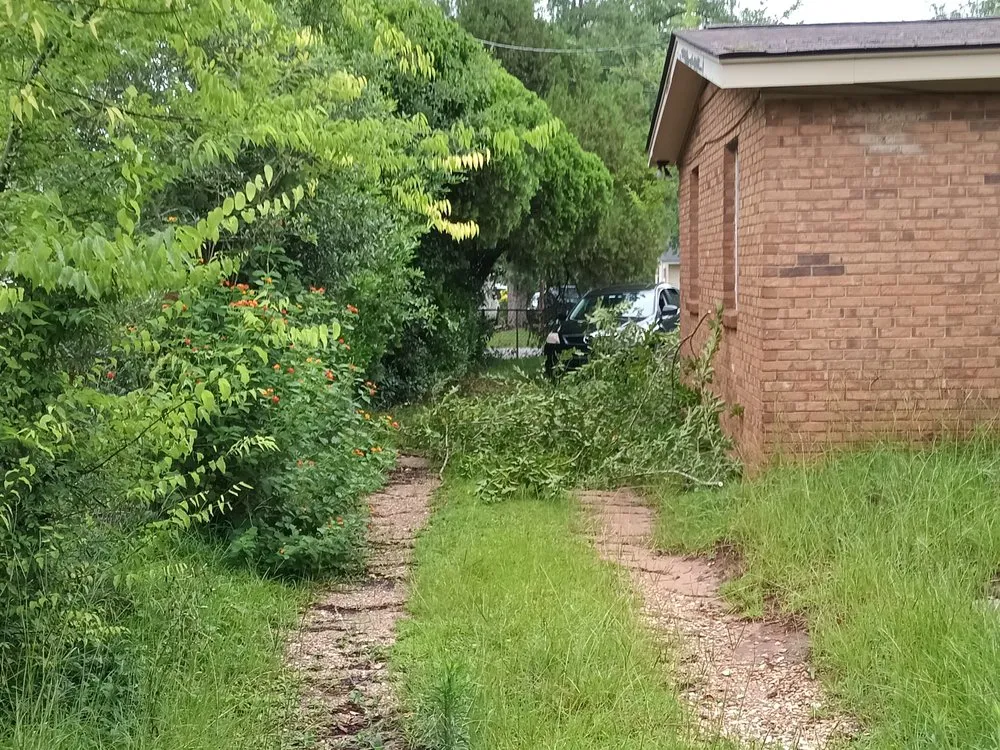 Affordable landscape installation in Albany, GA - Rustic Landscape & Remodelation