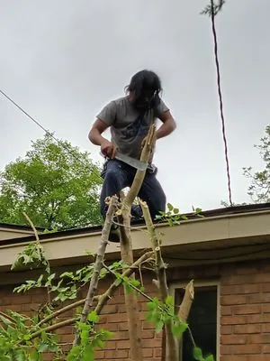 Rustic Landscape & Remodelation