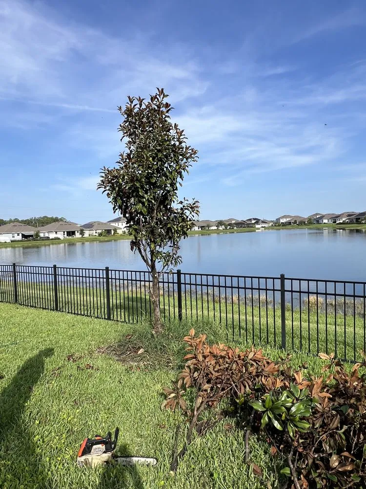 Custom landscape design in Orlando, FL by Rustic Landscape by Rolo & Leal