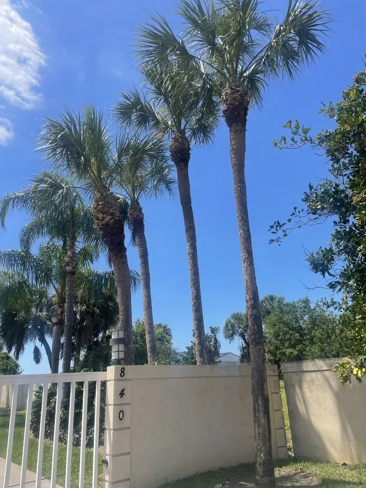 Reliable yard maintenance in Orlando, FL - Rustic Landscape by Rolo & Leal