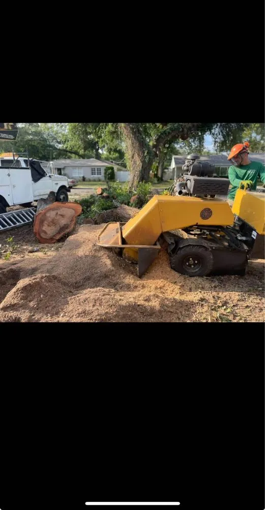 Professional outdoor landscaping near you in Orlando, FL by Rustic Landscape by Rolo & Leal