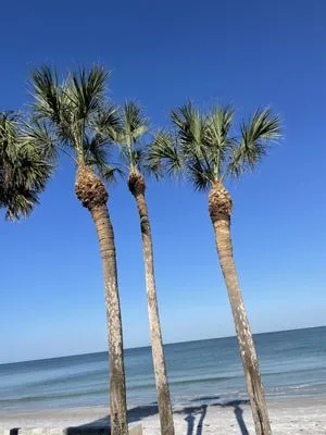 Rustic Landscape by Rolo & Leal Logo