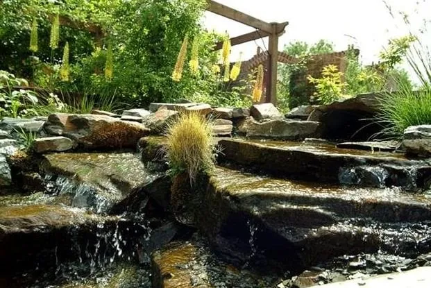 Trusted yard maintenance for homes in Parker, CO by Rustic Landscapes