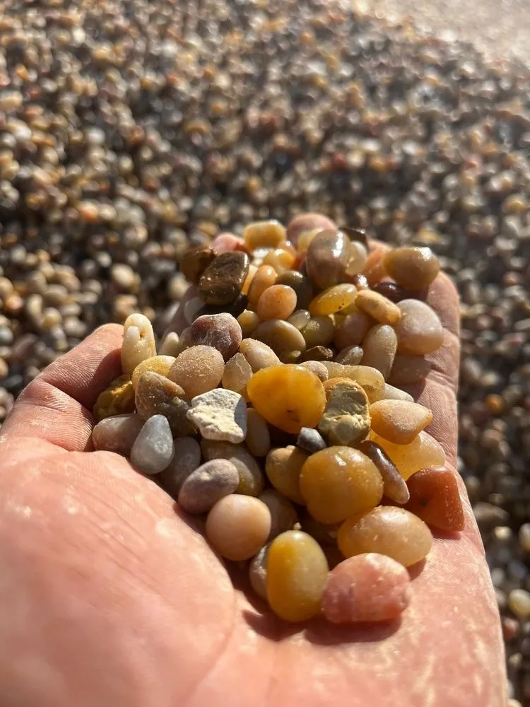 Top-rated yard maintenance experts serving Knoxville, TN - Rustic Refinements