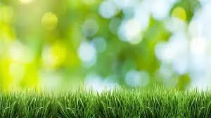 Trusted landscape installation for residential properties across Callahan, FL - Rustic Roots Landscaping