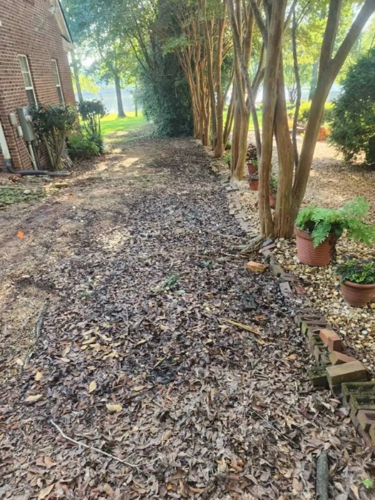 Expert yard cleanup service in Milledgeville, GA - Rustic Roots