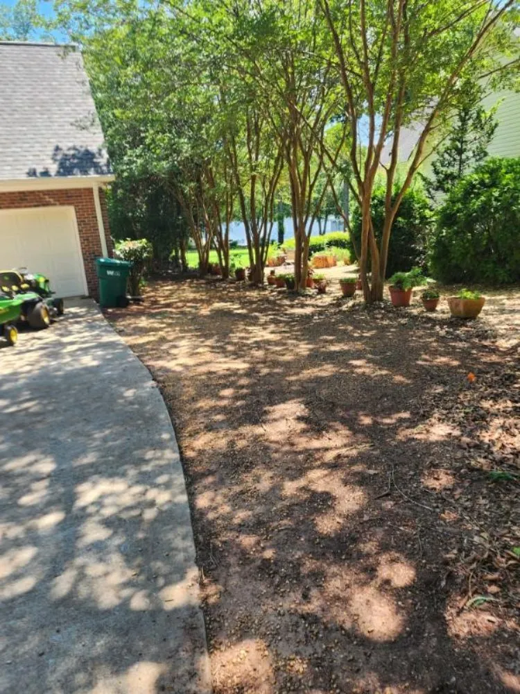 Reliable residential landscaping experts serving Milledgeville, GA - Rustic Roots