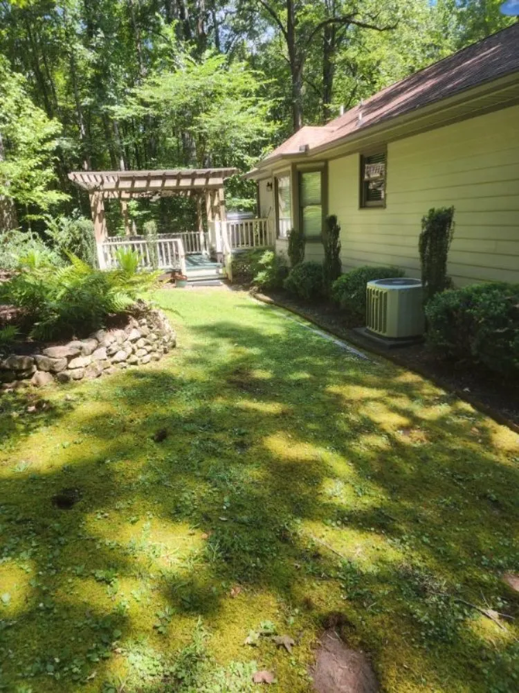 Professional lawn mowing service for outdoor upgrades in Milledgeville, GA by Rustic Roots