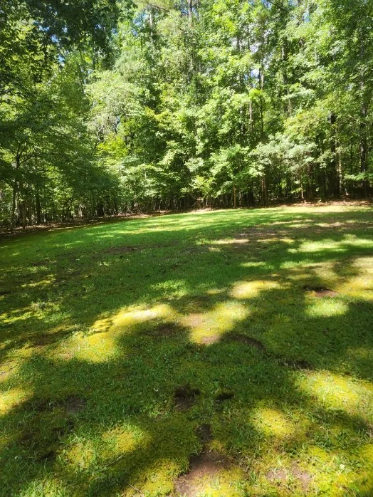 Expert landscaping services experts serving Milledgeville, GA - Rustic Roots