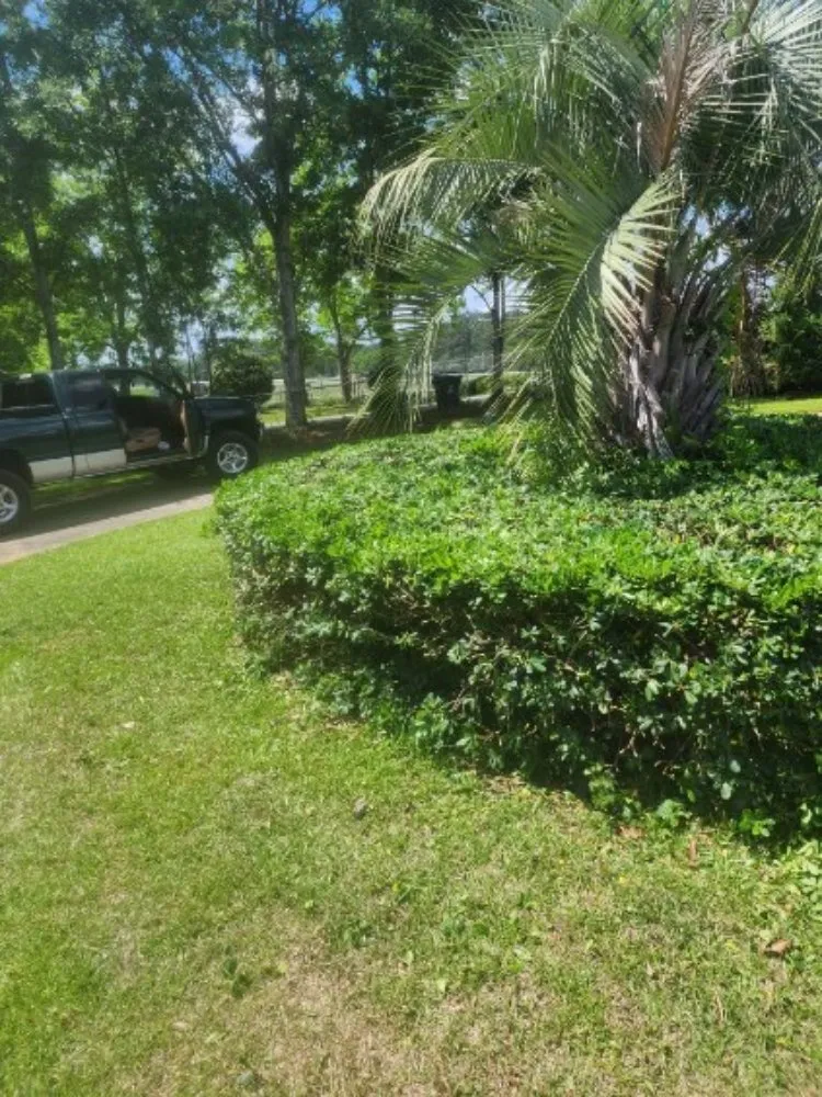 Affordable garden landscaping experts serving Milledgeville, GA - Rustic Roots