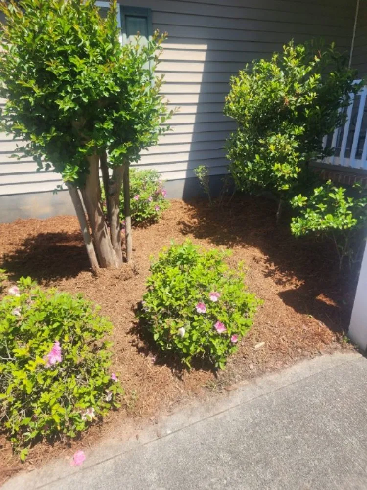 Custom landscape design for homes across Milledgeville, GA - Rustic Roots