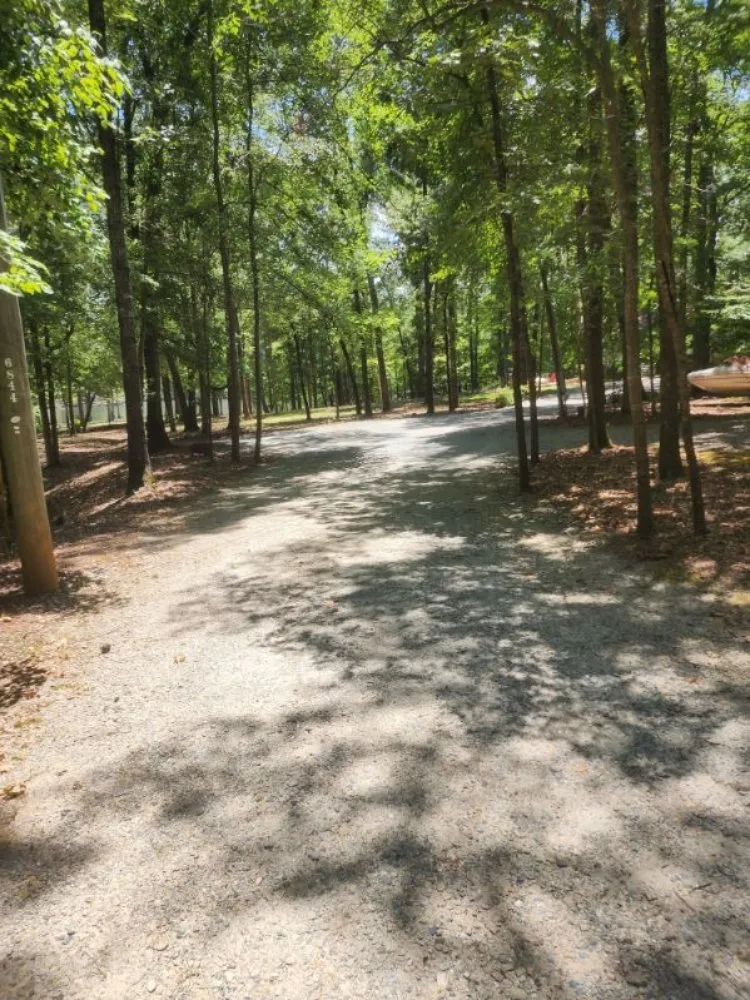 Trusted lawn care service in Milledgeville, GA - Rustic Roots