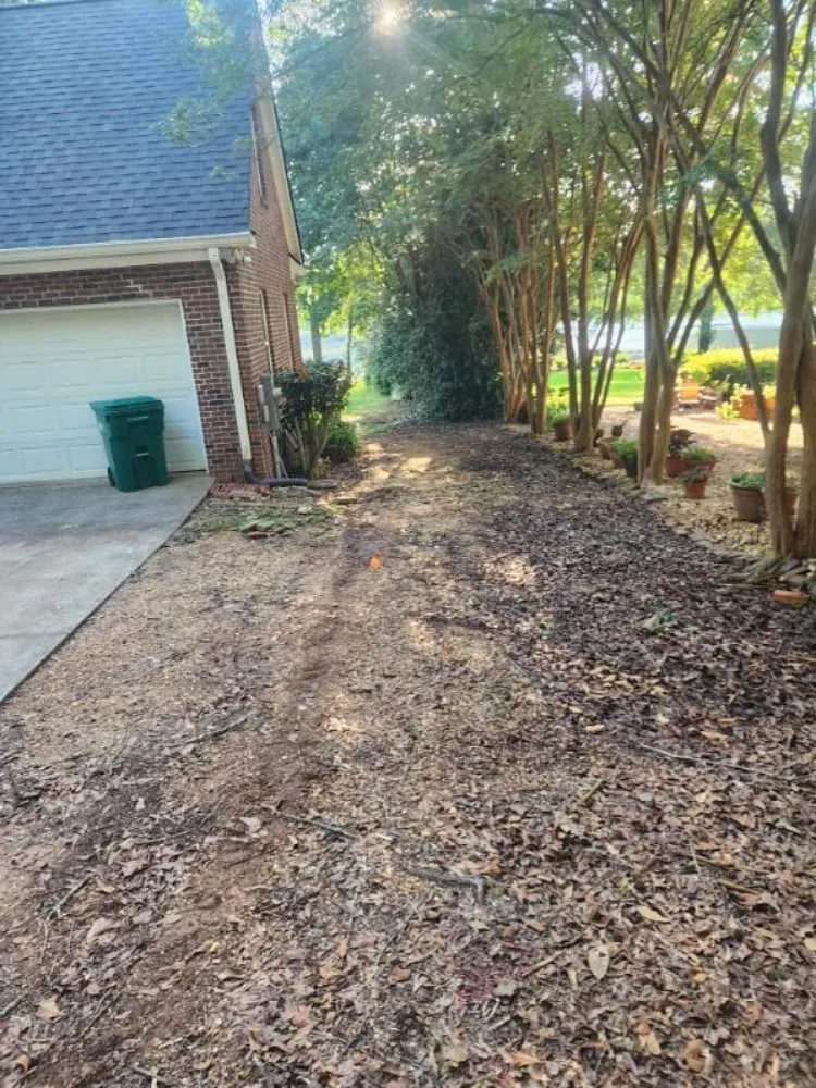 Affordable outdoor landscaping in Milledgeville, GA by Rustic Roots