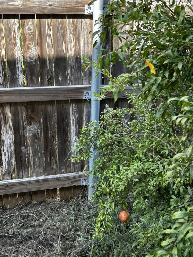 Custom landscape design in San Marcos, TX by Rustic Roots