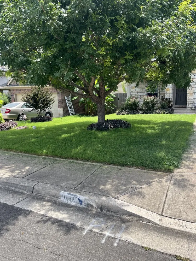 Expert yard cleanup service near you in San Marcos, TX by Rustic Roots