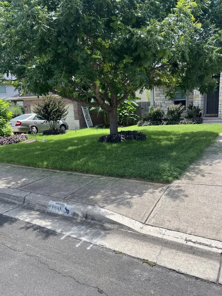 Trusted yard maintenance with custom design in San Marcos, TX by Rustic Roots