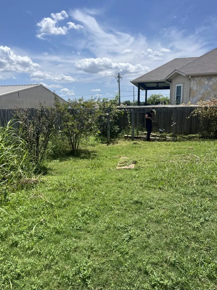 Top-rated landscape design in San Marcos, TX by Rustic Roots