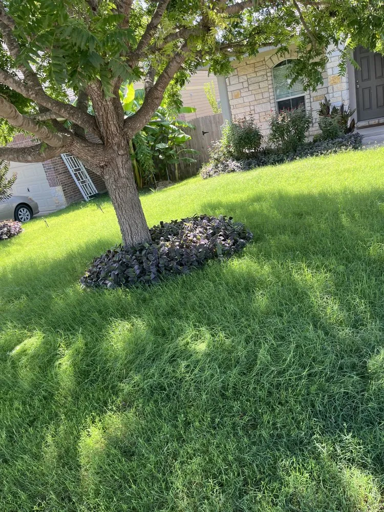 Affordable yard maintenance experts serving San Marcos, TX - Rustic Roots