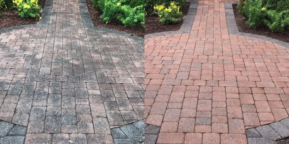 Professional lawn care service for homes in Maple Falls, WA by Rusties Pressure Washing/Lawn Care