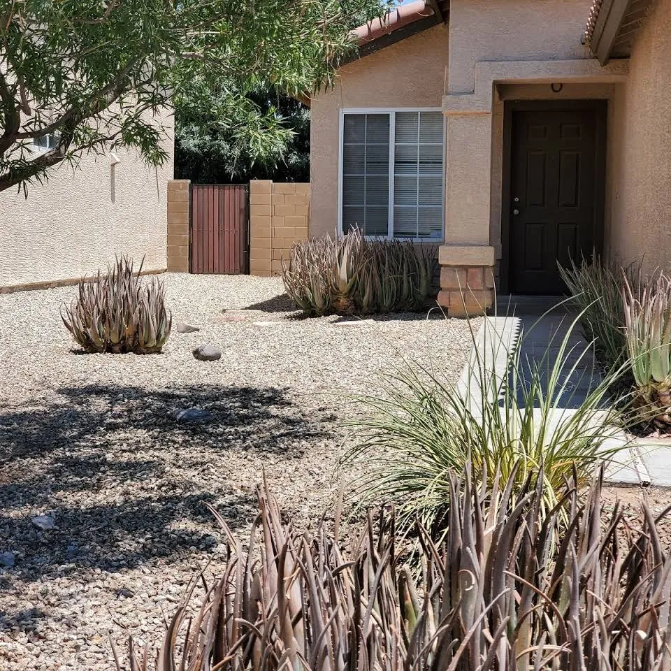 Professional lawn mowing service experts serving Queen Creek, AZ - RustoMod Landscaping