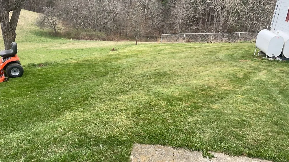 Affordable yard cleanup service in Rock, WV - Rusty Lawn Care & Pressure Washing Services