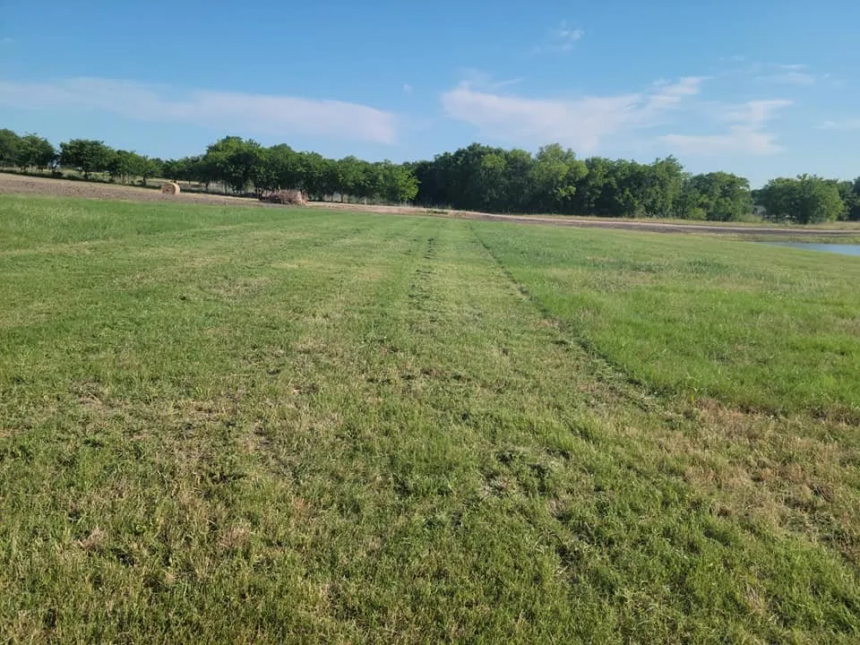 Top-rated yard cleanup service in Lexington, TX - Rusty Tractor Land Maintenance