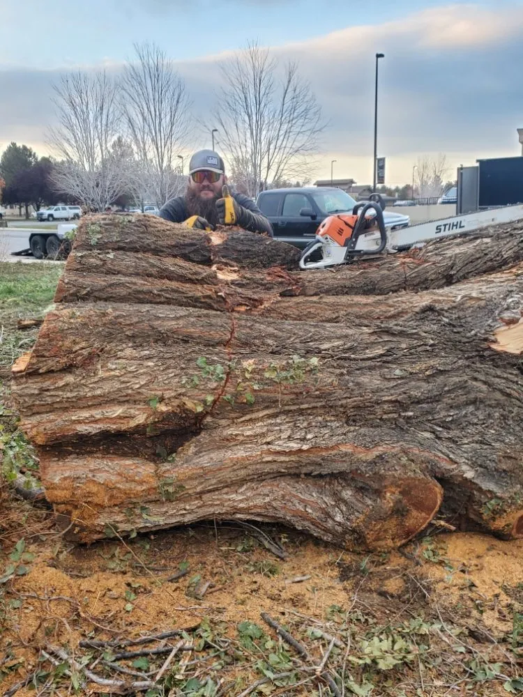 Expert lawn mowing service in Payson, UT - Rusty Wood Construction