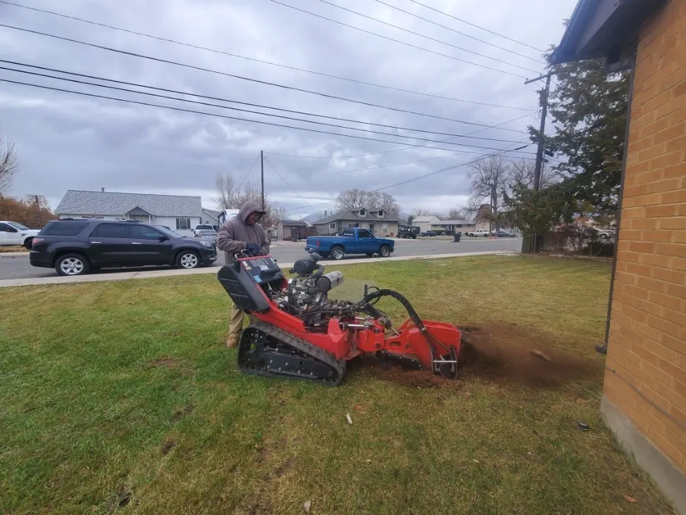 Local lawn mowing service in Payson, UT - Rusty Wood Construction