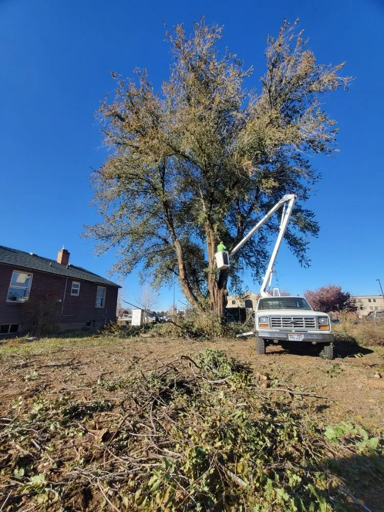 Expert yard cleanup service in Payson, UT - Rusty Wood Construction