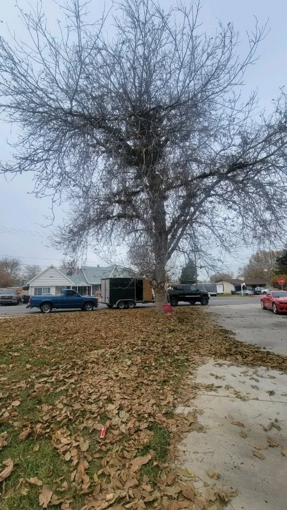 Top-rated landscaping services in Payson, UT by Rusty Wood Construction