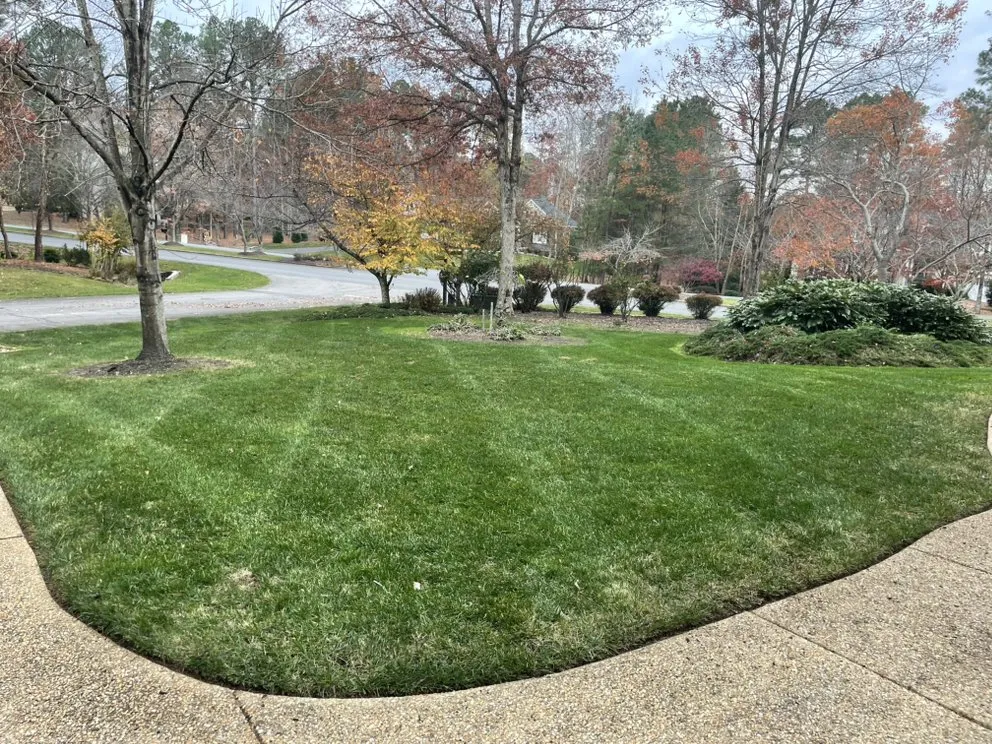 Professional outdoor landscaping experts serving Bowling Green, VA - Rusty’s Landscaping