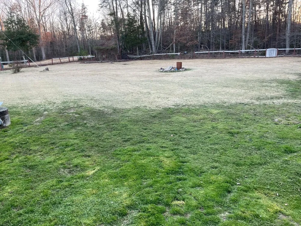 Local yard maintenance for residential properties across Bowling Green, VA - Rusty’s Landscaping